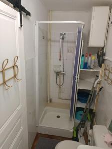 le Mont dore Centre ville appartement