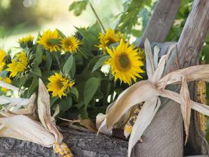 Appealing apartment with terrace