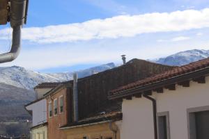 Bosque de los sauces