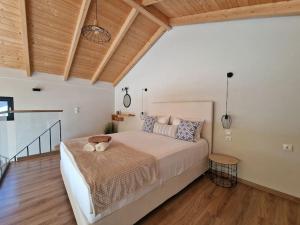 Olive Zen Villa Zante