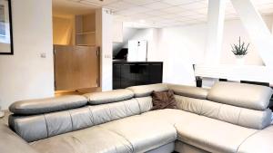 Blumental apartment, garden, AC