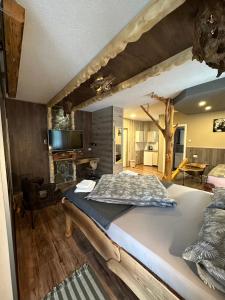 Apartment with Pool View  room in Apartments Park 2016