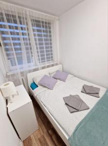 Lawendowy Zakątek Apartament