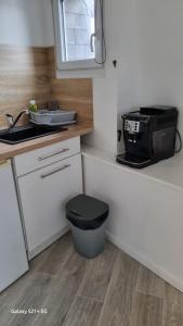 Appartements Le Stud' Joli appartement lumineux en plein centre ville : photos des chambres