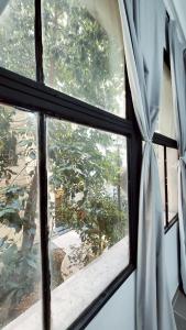 Un oasis en el corazón de Buenos Aires