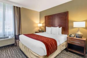 Queen Room - Non-Smoking room in Comfort Inn Monterey Park - Los Angeles