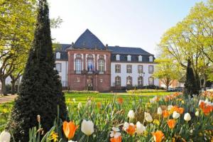Appartements Appartement d'une chambre avec terrasse et wifi a Haguenau : photos des chambres
