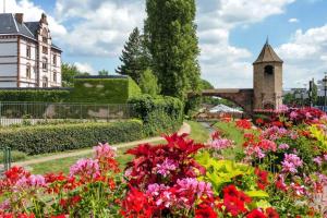 Appartements Appartement d'une chambre avec terrasse et wifi a Haguenau : photos des chambres