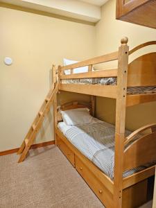 Stunning at Solitude, Steps from Chair Lift, East #103