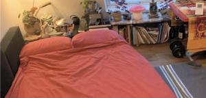 Sous les toits de Paris shared place