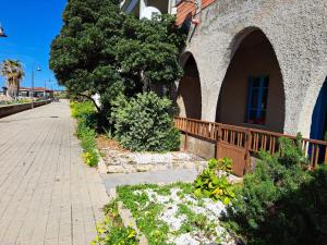 lungomare chess img30