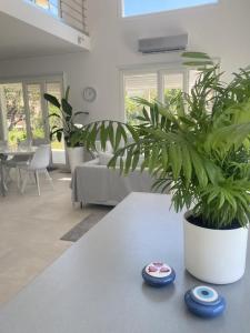 Modern Family Villa with Private Garden Near Beach & Athens Airport