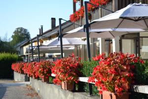 LOGIS LAUBERGE dARANC