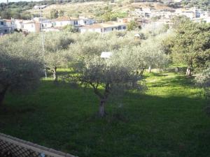 Residence con piscina Piricone img22