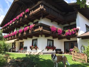 Ferienhaus Larinmos