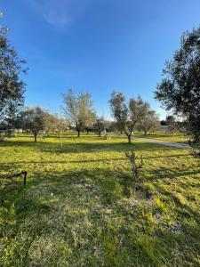 19th century Trullo Raeda in the middle of nature