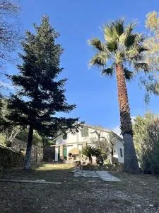 Villa Liselotte - Dolcedo