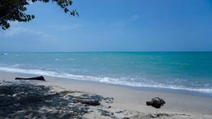 Cabaña La Pereztroica 1