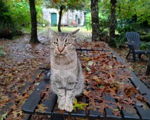 Casa Uma Turismo Rural