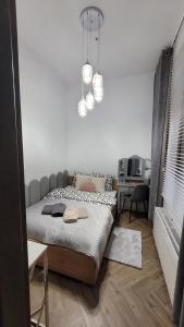 APARTAMENT JARACZA 2810