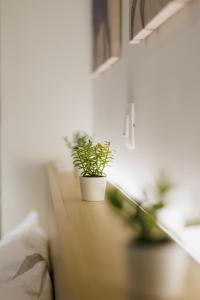 Modern & Stylish 1 BDR Apartment