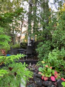 Entire flat located 2km from center, free parking