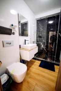 Roses-Endless Summer Apartaments