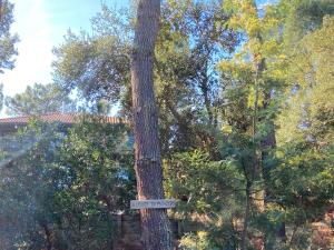 Villas Villa 24 Moliets : photos des chambres