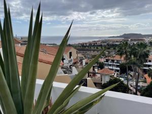 501.Serene studio with large terrace and pool