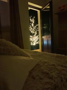 Complex Turistic Cetatea Drencova