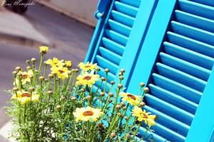 Marikas Traditional House