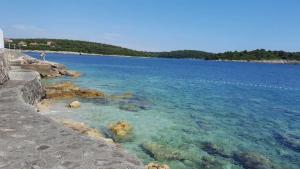 Apartments Ginkgo, Banjole - Pula