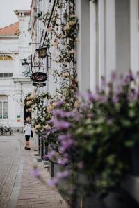 Hotel Rose Red