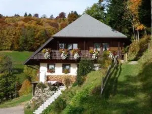 Ferienhaus Rombach - 韦登迪