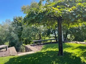 Quinta do Fontão - Casa com piscina