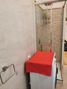 PERFECT APARTMENT for centre and Miramare