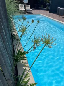 B&B / Chambres d'hotes VILLA PIERARTLOU : photos des chambres