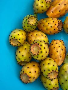 Fattoria F.lli Marsolo