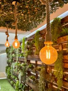 Residencia Mediterraneo