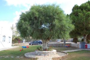 Scala Apartments Naxos Greece