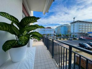 Pagoda - Home Immobiliare