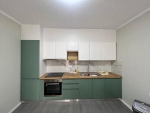 Brand new condo for rent