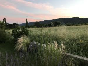 Maisons de vacances Gites La Musardiere : photos des chambres