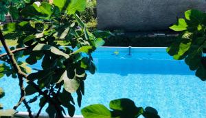 Maisons de vacances Le Clos Baroussais : photos des chambres