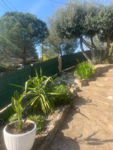 Maisons de vacances Villa la Bergerie : photos des chambres