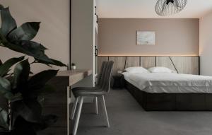 GAVAS Cozy Studios Central David Prodan