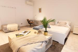 Luxury apartment - Bramante 7