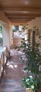 Tsinandali Edem - Tsinandlis Edemi - Цинандали Эдем