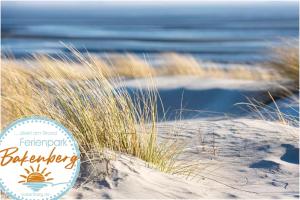 Bungalow WALD & SAND direkt am Strand