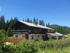 Ferienhaus Schäfer - Apartments - Wintersports - Family holiday - Holiday with your dog - Rural & Scenic - Flattnitz
